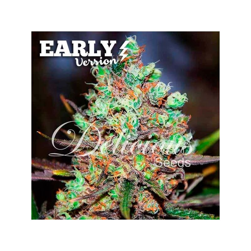 Cotton Candy Kush Early Version, Фасовка: 5